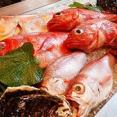 博多ほたる 麻布十番店