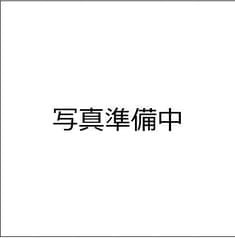 のんちゃん 上野本店