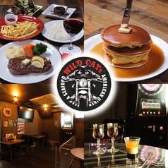 WILD CATs ワイルドキャッツ