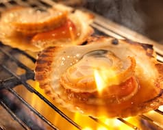 日本酒 炉端焼き 郷味 本店