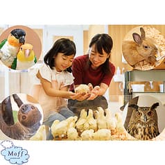 Moff animal cafe ららぽーと立川立飛店