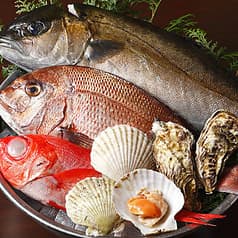 魚咲く津田沼店