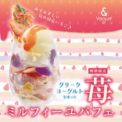& Yogurt アンドヨーグルト 表参道本店