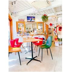 DOG DEPT +CAFE 港の見える丘公園店