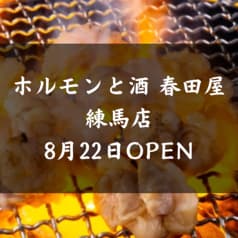 ホルモンと酒 春田屋