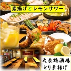 大衆鶏酒場 とり素揚げ 新小岩南口店