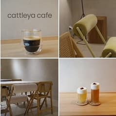 Rand表参道 cattleya cafe