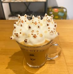 HATCOFFEE