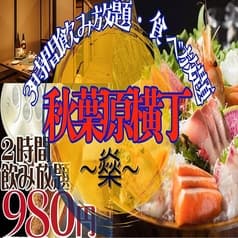 秋葉原横丁 せんせんや