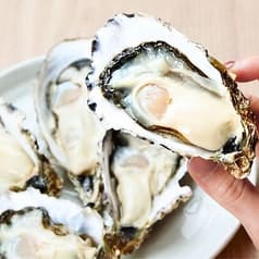 かきのおきて 水道橋店