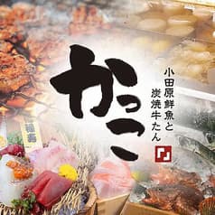小田原鮮魚と炭焼牛たん かっこ八王子店
