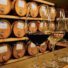 樽ワイン酒場 呑牛呑気 ドンギュウノキ 渋谷店