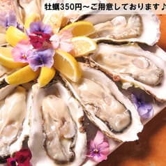totochee トトチー 新松戸店