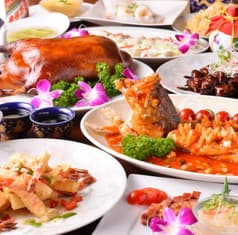 本格広東料理 龍城 上野