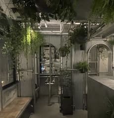 月島シーシャ カフェ&バー BOTANI
