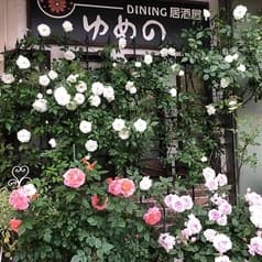 洋風居酒屋ゆめの