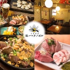 大衆酒場 陽ハマタノボル