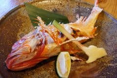 かいりき 海力