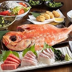 越後屋 壱之助