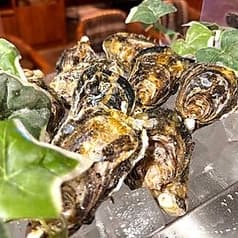 Oyster Bar ジャックポット 府中