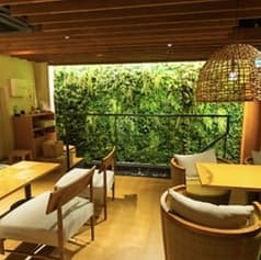 さくら餃子酒場 神田店