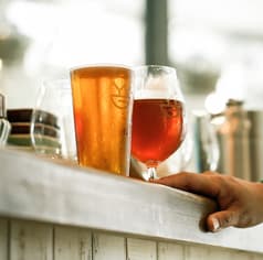 ワイワイジーブルワリー&ビアキッチン Y.Y.G.Brewery&Beer Kitchen