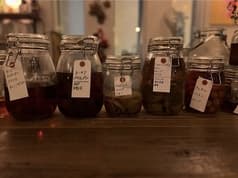 monkey puzzle モンキー パズル
