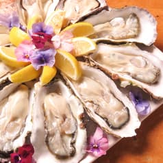 totochee トトチー 新松戸店