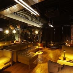 T2 SQUARED SHISHA CAFFE TRIBE GOTANDA