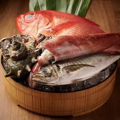 魚の八