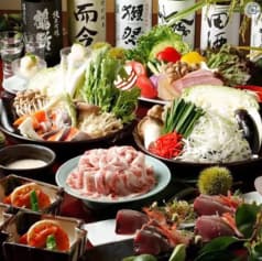 HINOTORI ヒノトリ