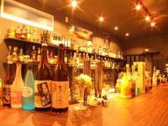 shot bar GA-YA