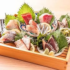 鮪、貝専門 しらはら 新宿本店