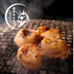 天城黒豚の店 橋本ホルモン