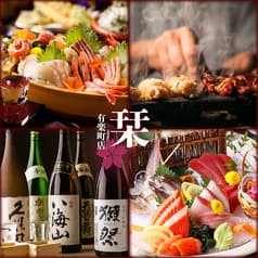 地鶏と鮮魚 完全個室居酒屋 栞 (しおり)有楽町店