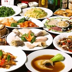 健康中華庵 青樺